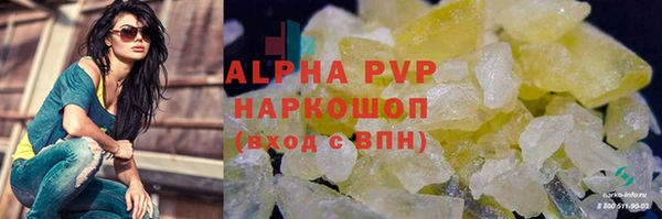 СК Бородино