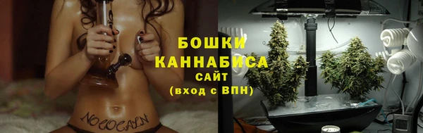 винт Бронницы