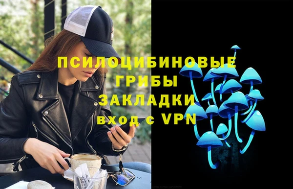 СК Бородино